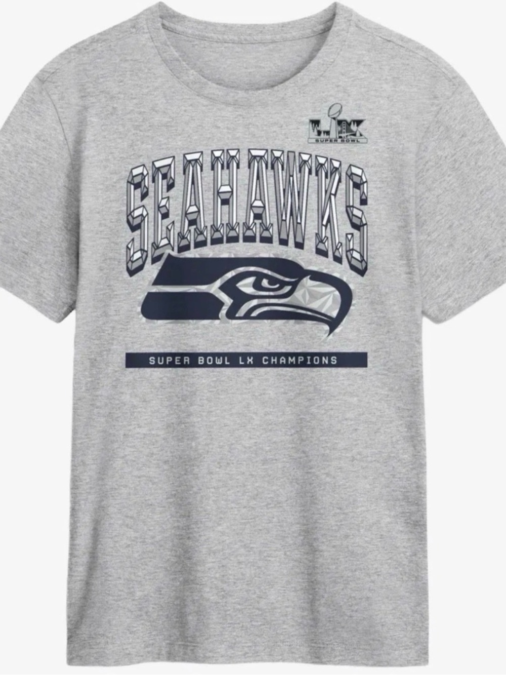 Nike Gray Seahawks Super Bowl LX Graphic Tee